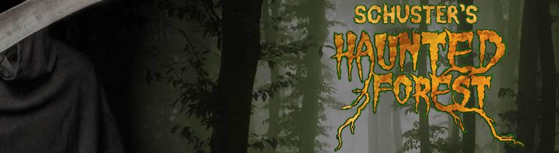 the haunted forest at schusters farm