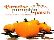 paradise pumpkin patch