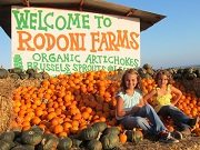 Rodoni Farms Pumpkin Patch and Corn Maze Santa Cruz CA