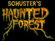 haunted forest deerfield