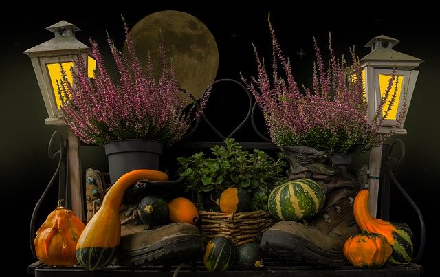 Maryland Harvest Moon Hayride Set for February 7, 2020
